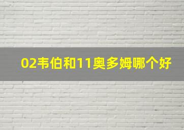 02韦伯和11奥多姆哪个好