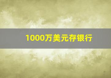 1000万美元存银行