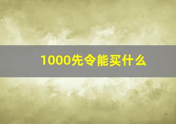 1000先令能买什么