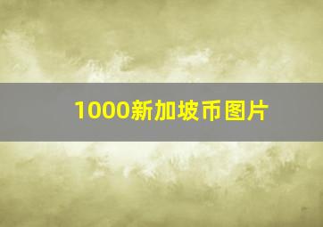 1000新加坡币图片