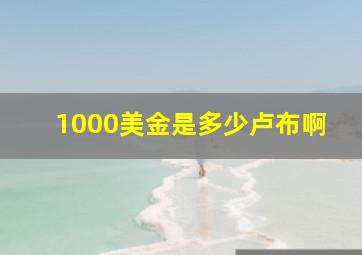 1000美金是多少卢布啊