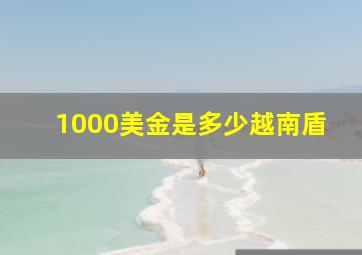 1000美金是多少越南盾