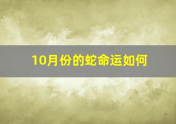 10月份的蛇命运如何