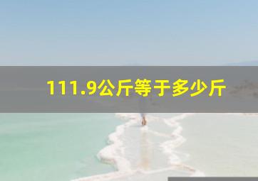 111.9公斤等于多少斤