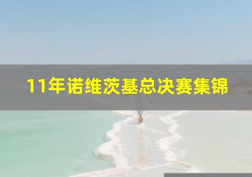 11年诺维茨基总决赛集锦