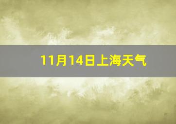 11月14日上海天气