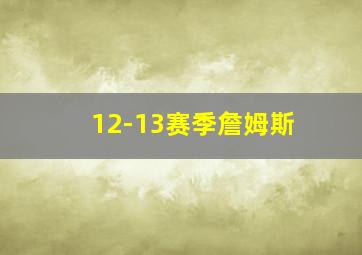 12-13赛季詹姆斯