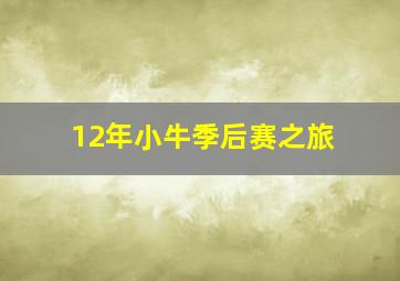 12年小牛季后赛之旅