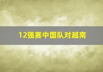 12强赛中国队对越南