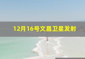 12月16号文昌卫星发射