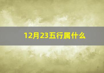 12月23五行属什么