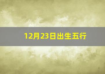 12月23日出生五行