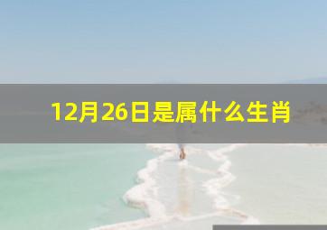 12月26日是属什么生肖