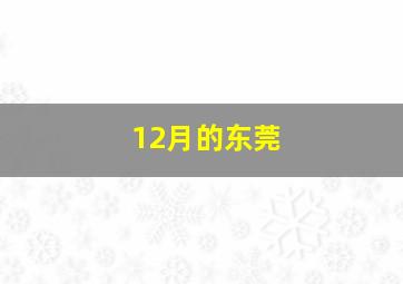 12月的东莞