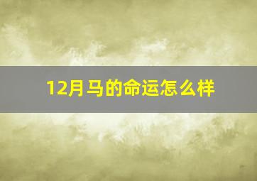 12月马的命运怎么样