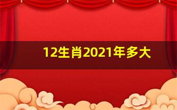 12生肖2021年多大