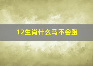 12生肖什么马不会跑