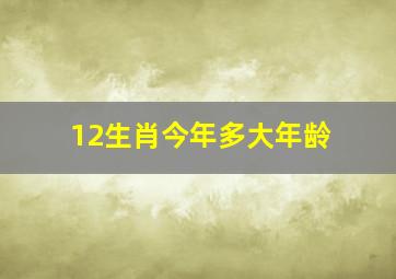 12生肖今年多大年龄