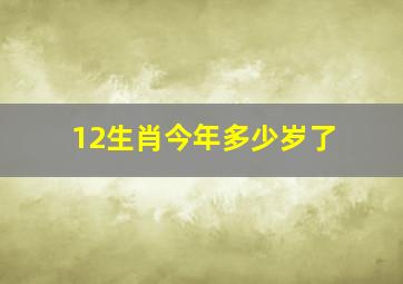 12生肖今年多少岁了