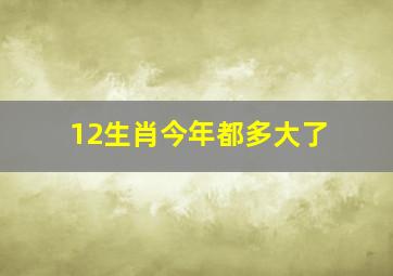 12生肖今年都多大了