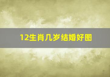 12生肖几岁结婚好图