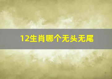 12生肖哪个无头无尾