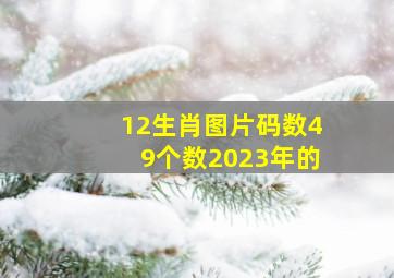 12生肖图片码数49个数2023年的