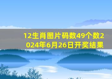 12生肖图片码数49个数2024年6月26日开奖结果