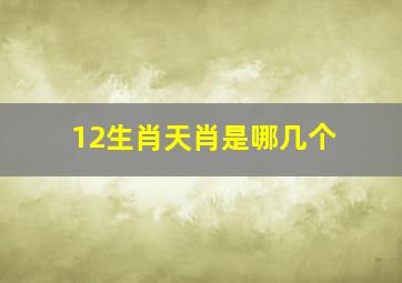 12生肖天肖是哪几个