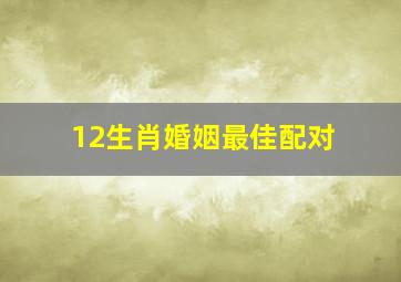 12生肖婚姻最佳配对