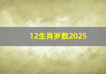 12生肖岁数2025