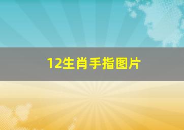 12生肖手指图片