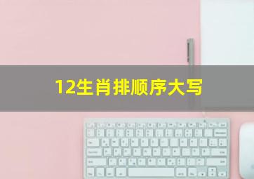 12生肖排顺序大写