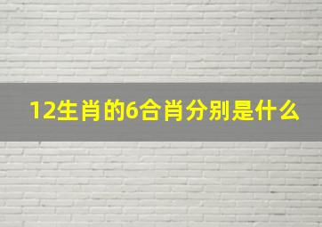 12生肖的6合肖分别是什么