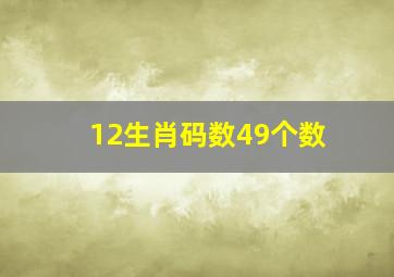 12生肖码数49个数