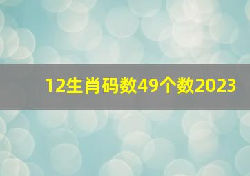 12生肖码数49个数2023