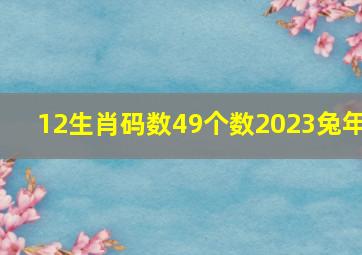 12生肖码数49个数2023兔年