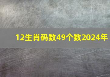 12生肖码数49个数2024年