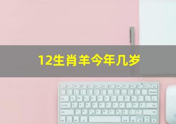 12生肖羊今年几岁