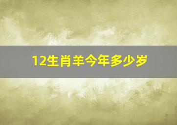 12生肖羊今年多少岁