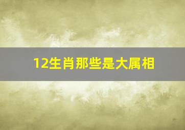 12生肖那些是大属相