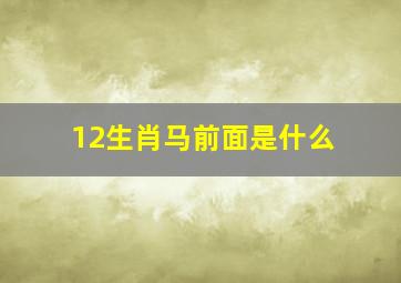 12生肖马前面是什么