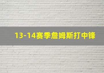 13-14赛季詹姆斯打中锋