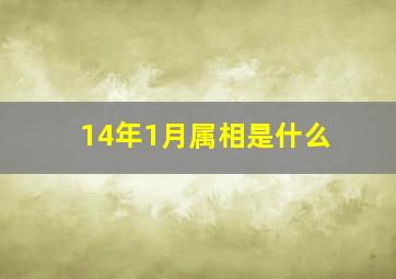 14年1月属相是什么