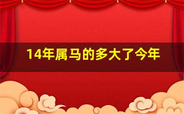 14年属马的多大了今年