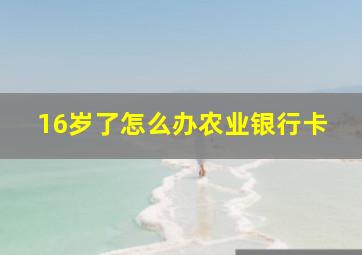 16岁了怎么办农业银行卡