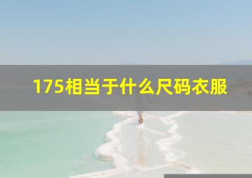 175相当于什么尺码衣服