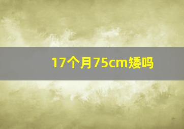 17个月75cm矮吗