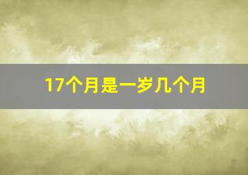 17个月是一岁几个月