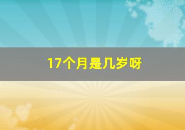 17个月是几岁呀